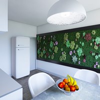 Портфолио наташа